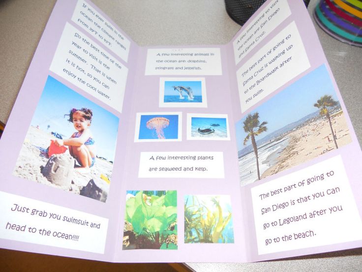 Apa Format For Brochure